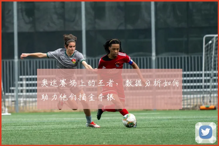 奥运赛场上的王者,数据分析如何助力他们摘金夺银